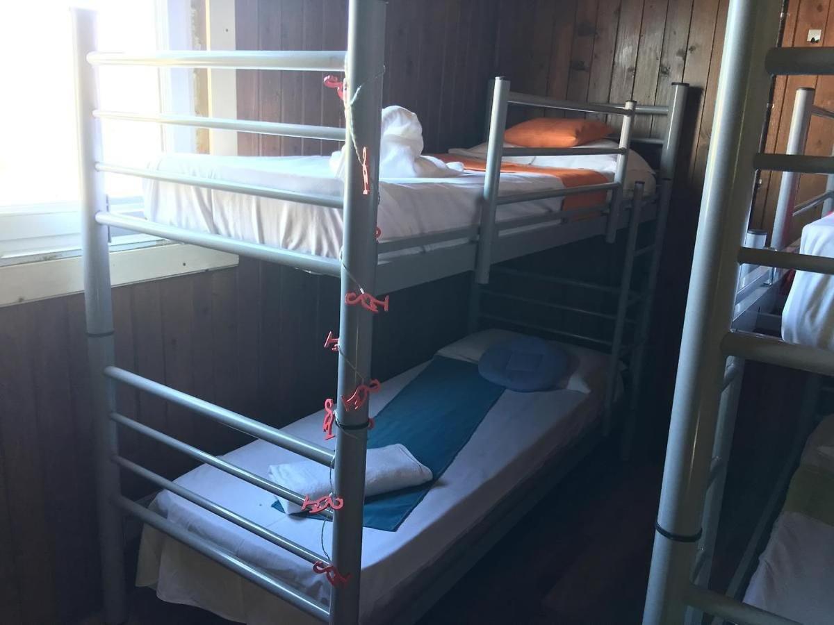 Hostel Flamingo Costinesti Exteriör bild