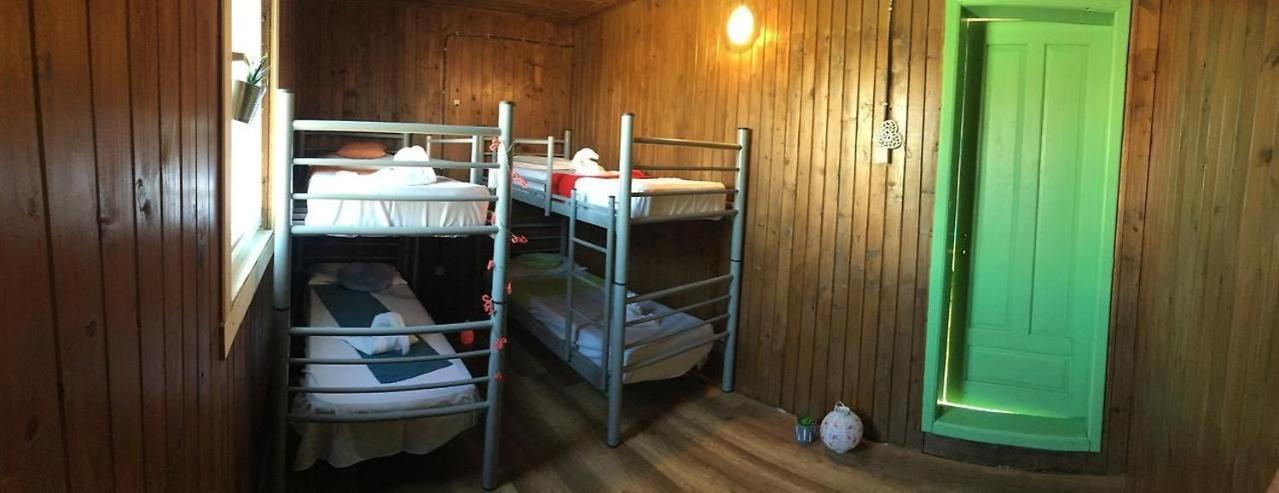 Hostel Flamingo Costinesti Exteriör bild