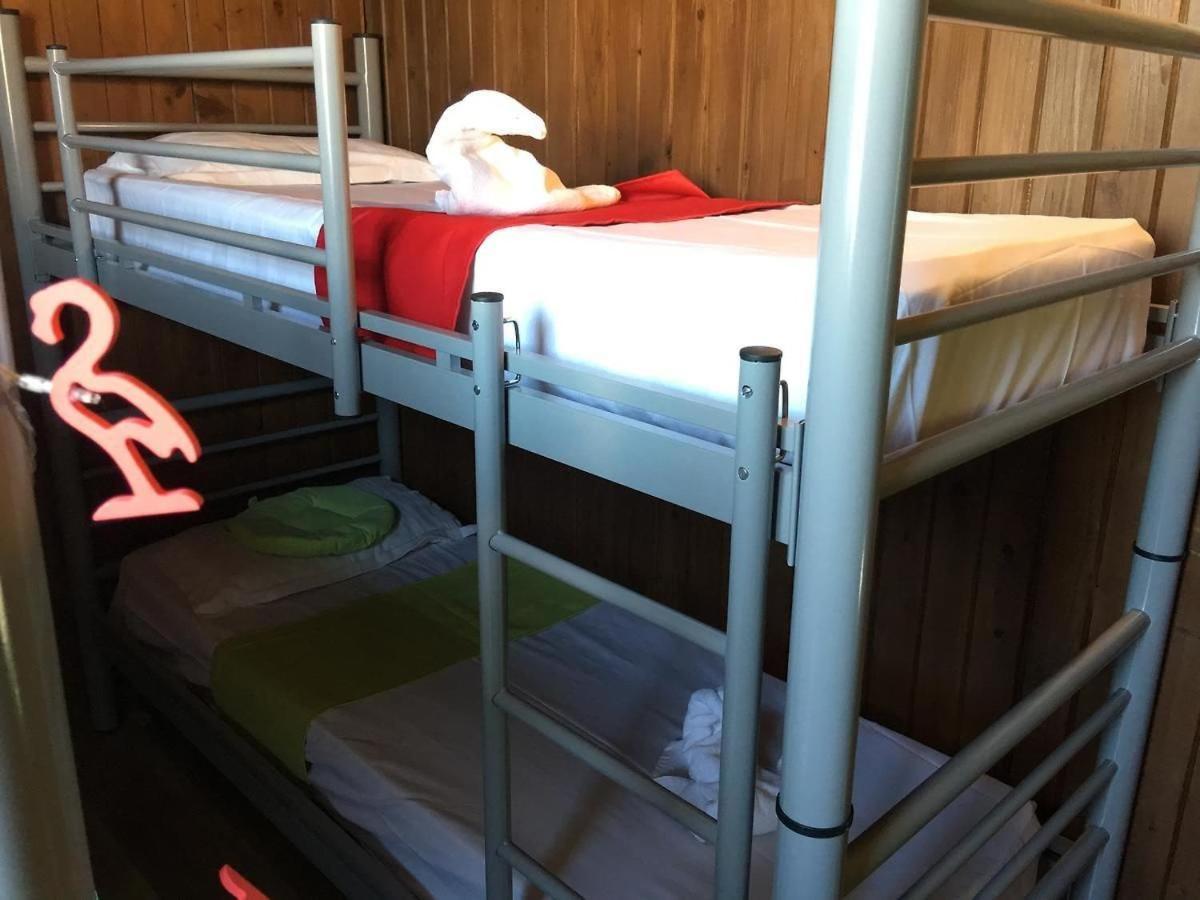 Hostel Flamingo Costinesti Exteriör bild